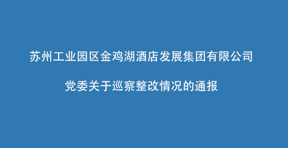 苏州工业园区xk官网_XK(中国)
湖酒店发展集团有限公司党委关于巡察整改情况的通报